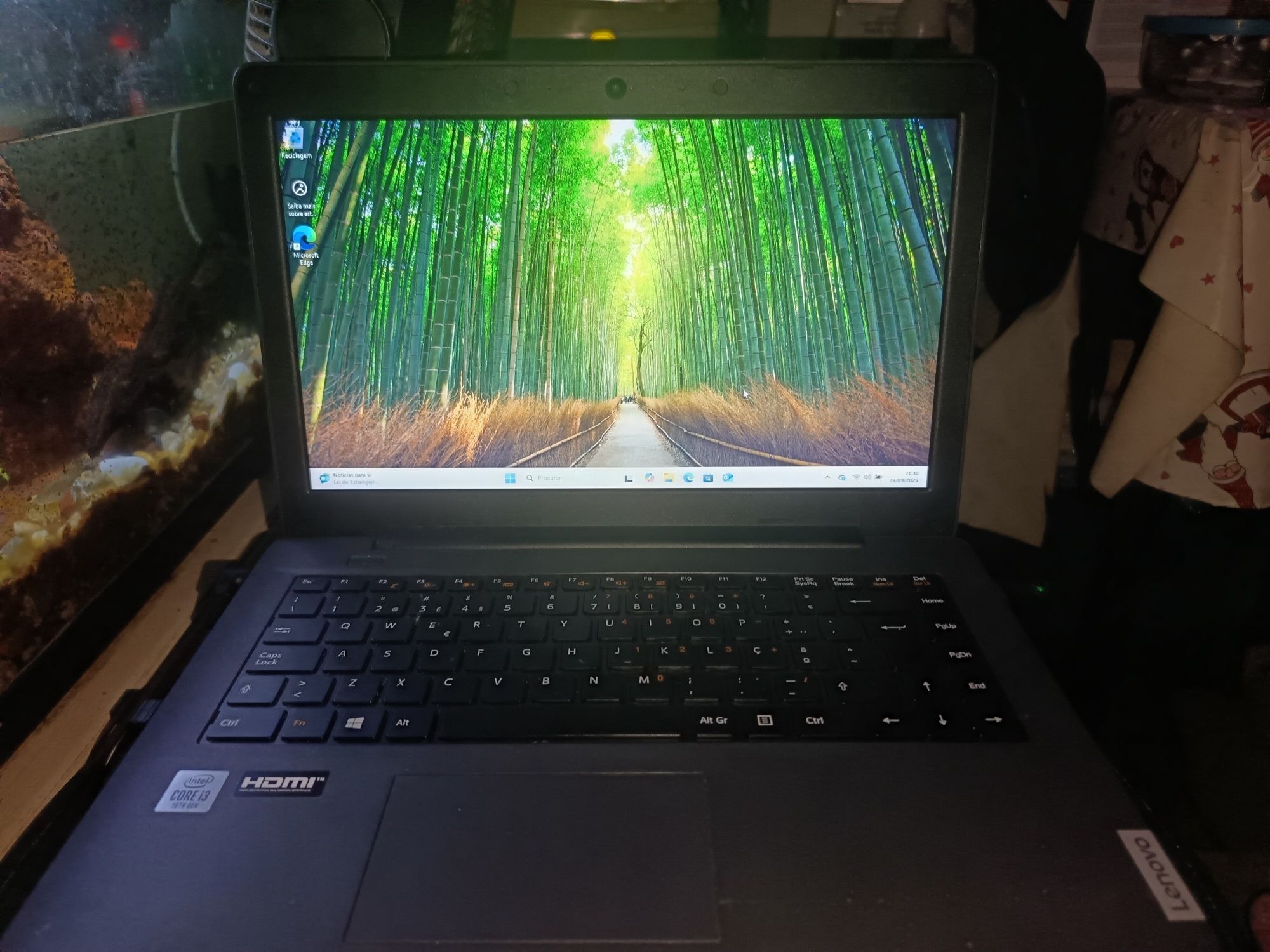 Lenovo M14L 256 Windows 11
