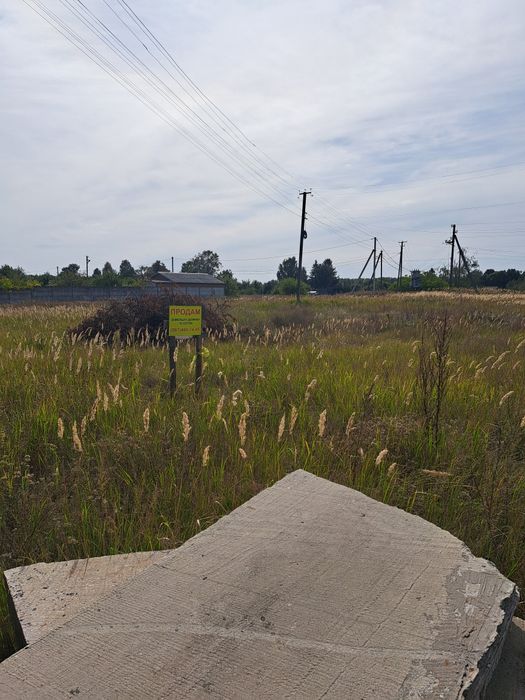 Участок Боромыки на берегу Десны