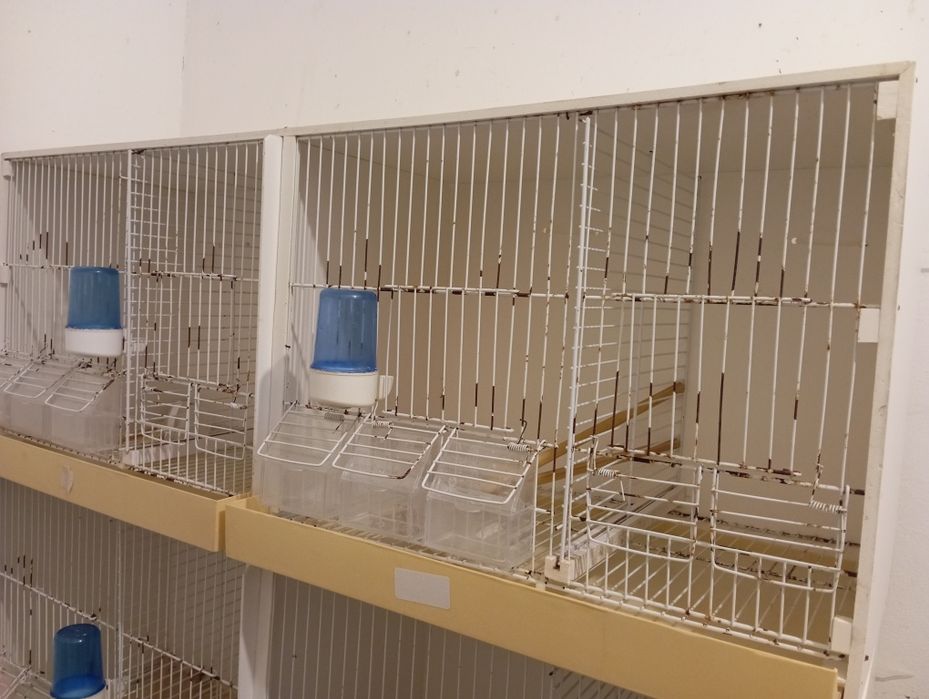 Viveiros PVC 8 buracos