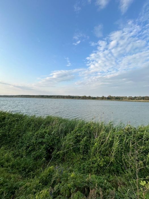 Продаж рибного господарства 504га в с. Куцеволівка
