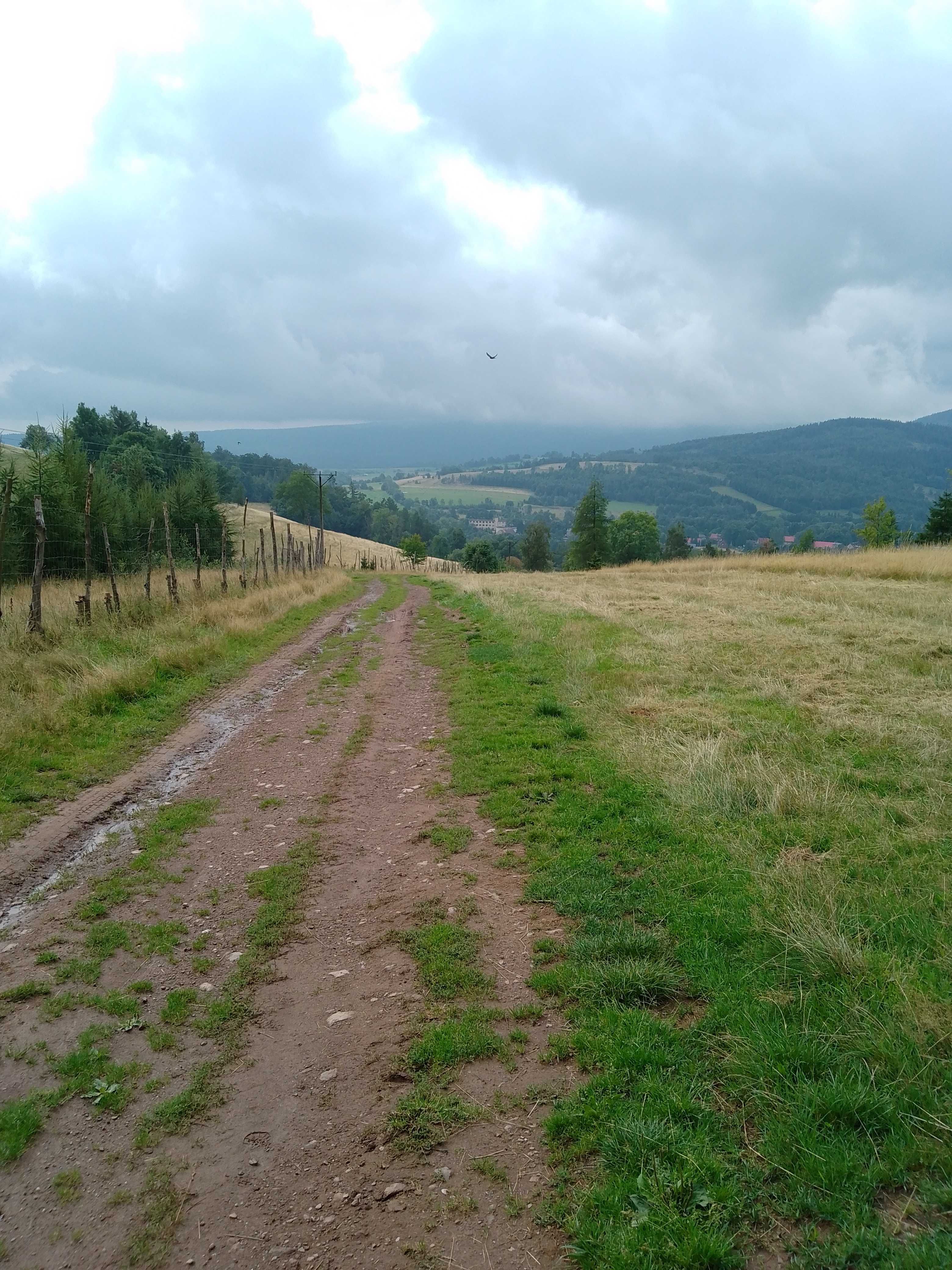 Noclegi Jarkowice leśniczówka Karkonosze