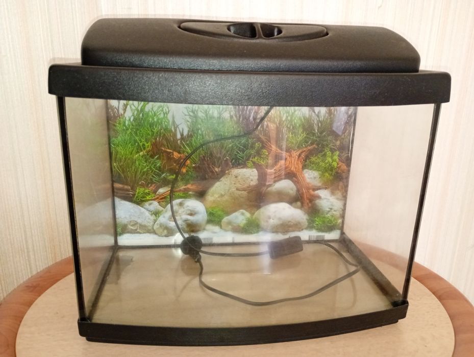 Аквариум и аксессуары.