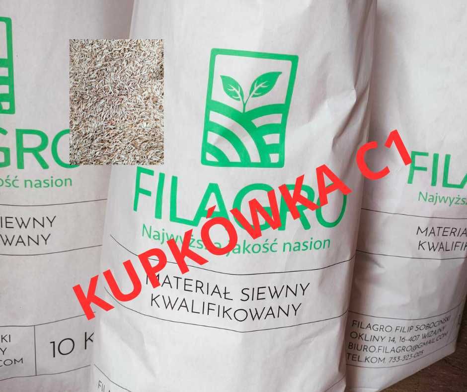 Nasiona Kwalifikowane Kupkówka Pospolita (C1)