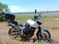 Triumph Tiger 955