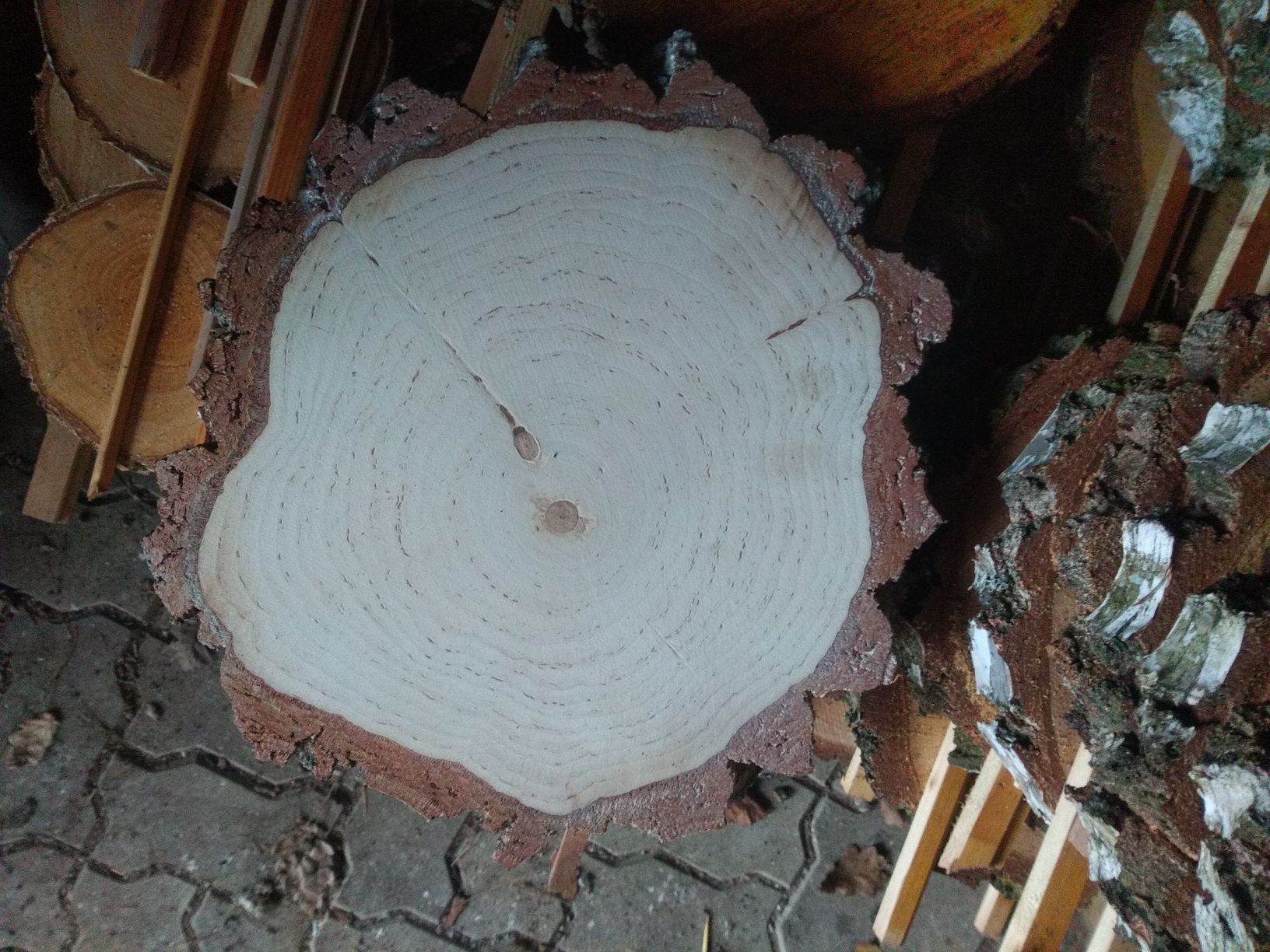 Plastry drewna brzoza 25-28 cm suche szlif gruba kora