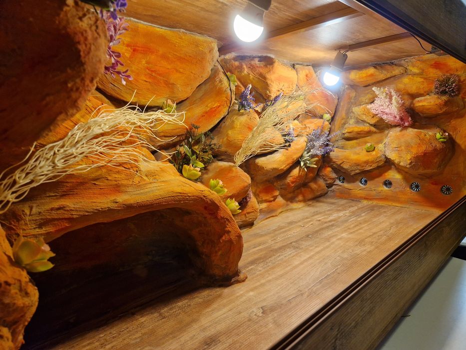 Terrarium na zamówienie dla żółwia 100x40x40