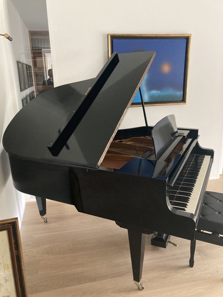 Piano de Cauda Bosendorfer