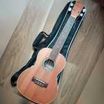 Ukulele koncertowe Cordoba 15cm