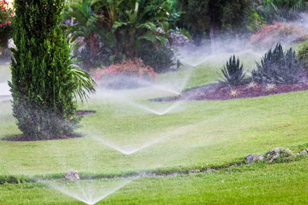 Trawniki, Automatyczne nawadnianie trawników, zakładanie trawników