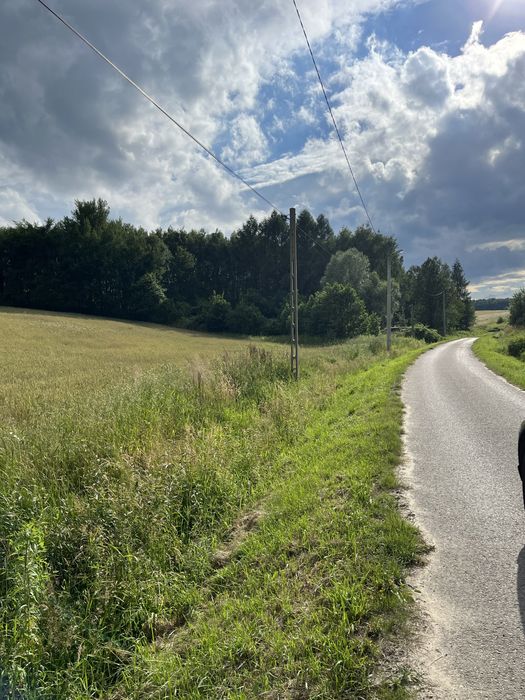 Działka budowana Lutoryż (Boguchwała) wydane wz