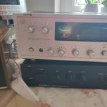 Amplituner Elizabeth DSH-102