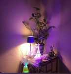 Massagem Chinesa Relaxante Corpo