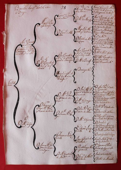 Barretos da Quinta do Sol em Braga, árvore de costados (cc 1746)