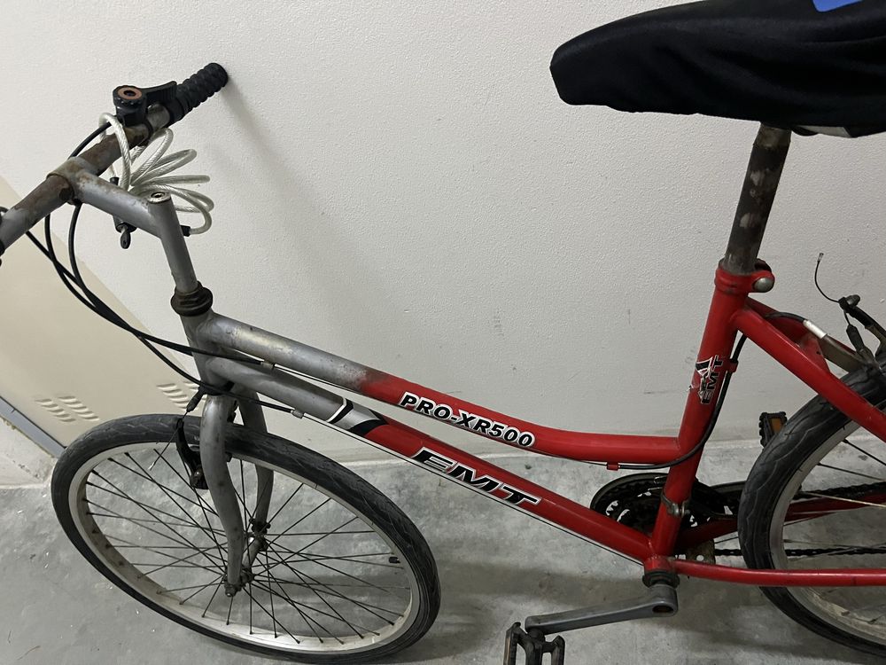 Bicicleta adulto