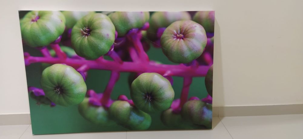 Tela / Quadro de foto real