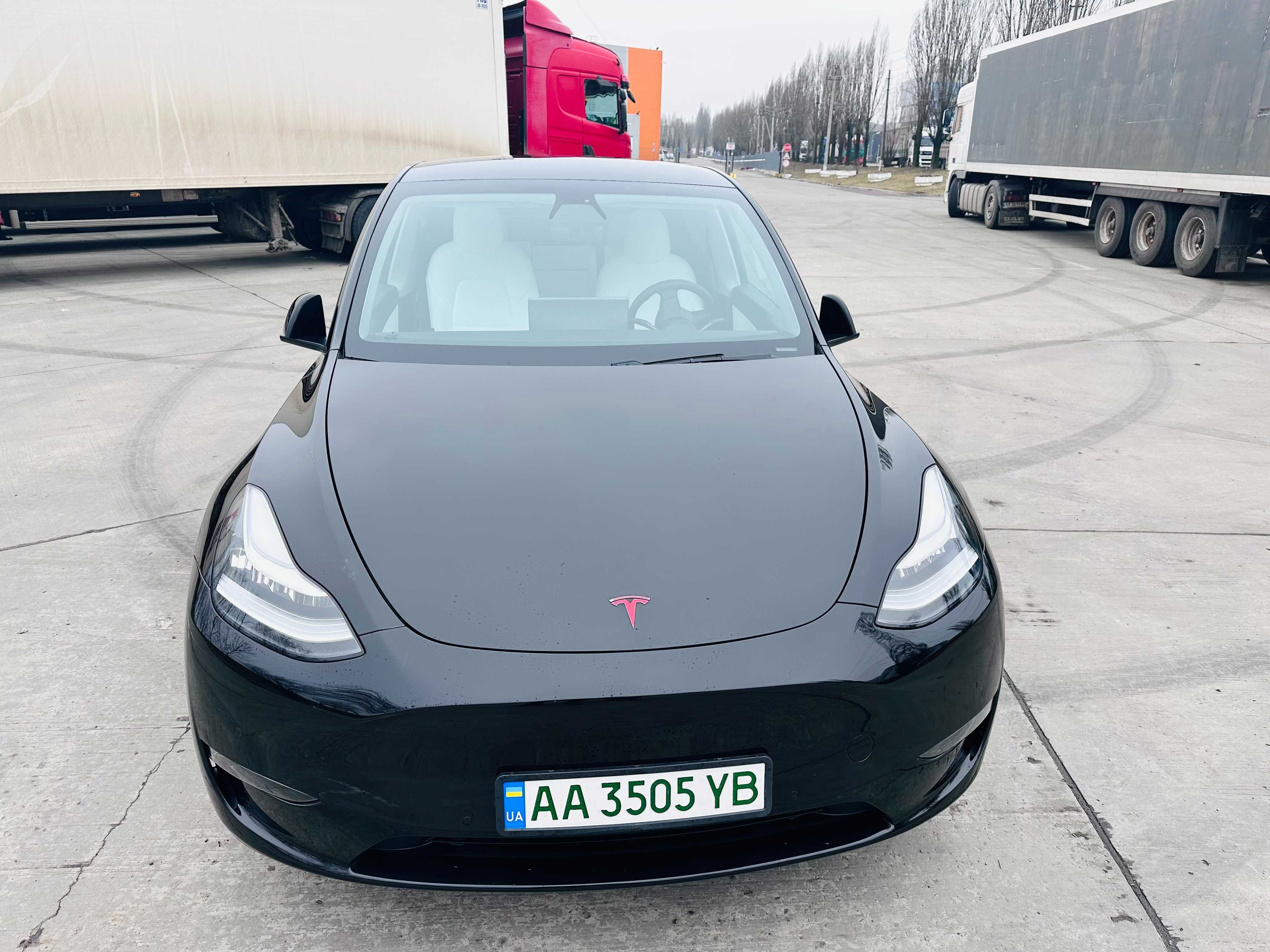 Tesla Model Y Long Range Повний привід