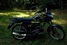 Musstang MT125-8 Fit 2