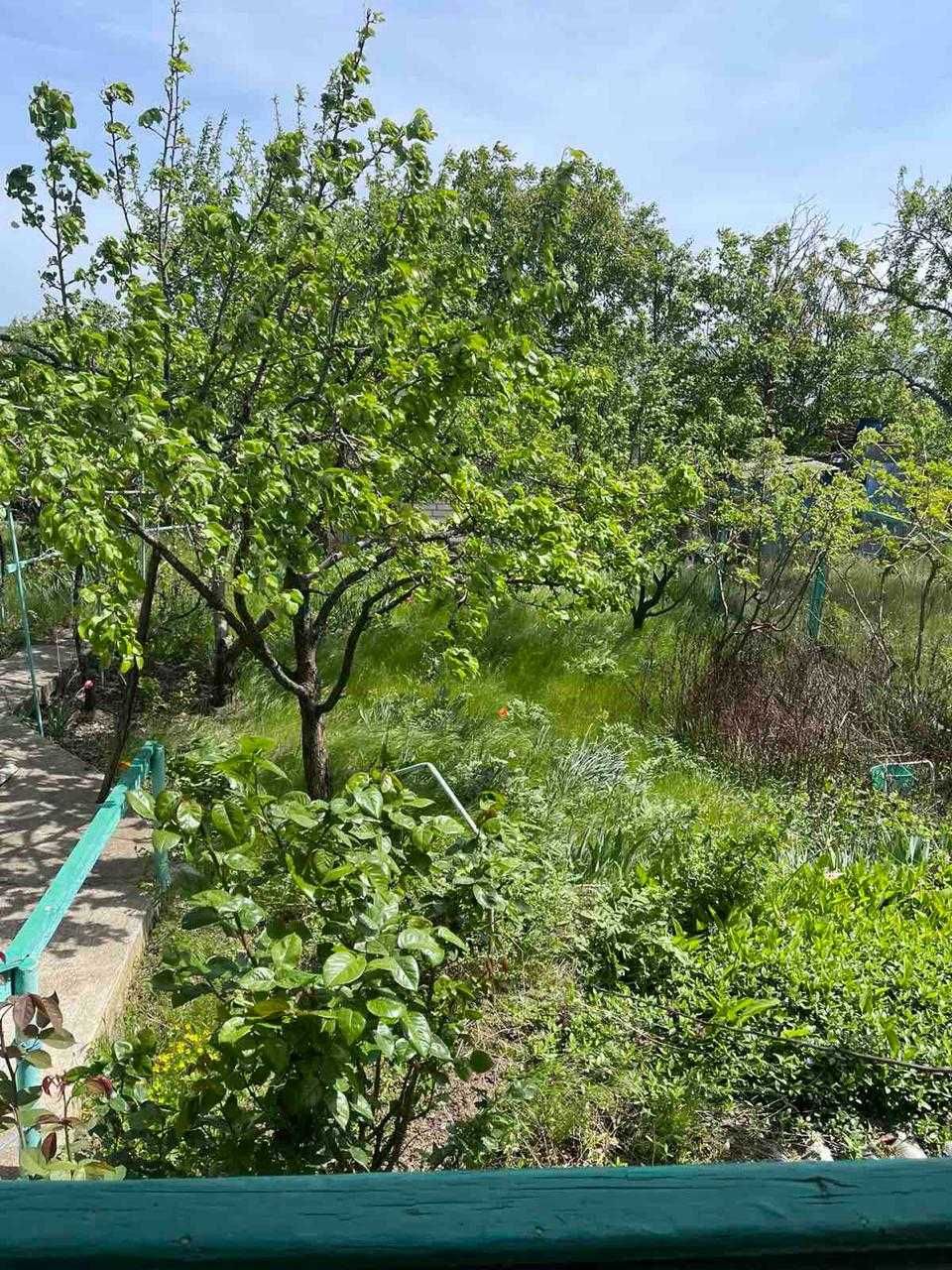 Участок земли с дачным домиком в Одесской области
