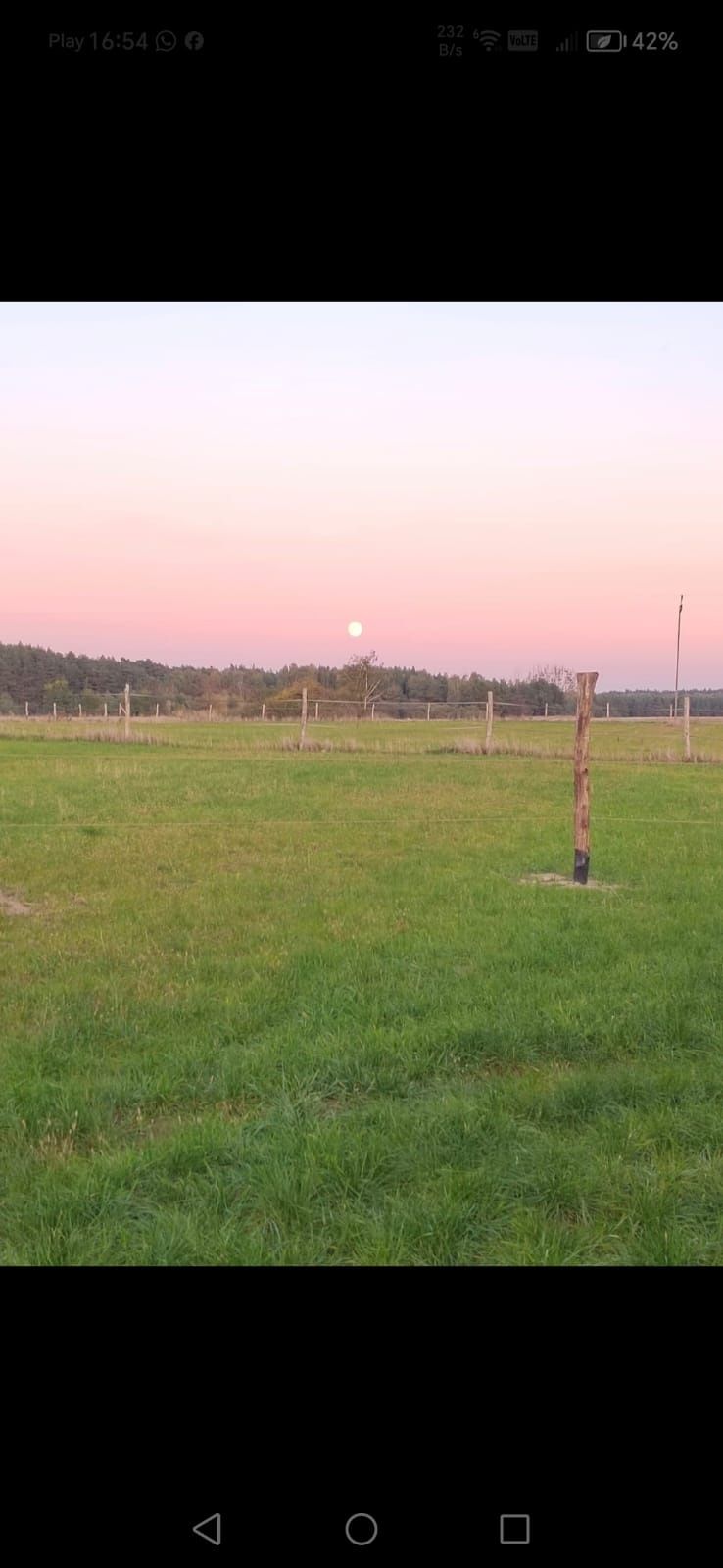 Wynajmę stajnię wraz z mieszkaniem