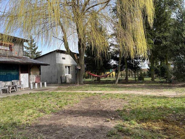wynajmę działkę ROD Relax Mszczonów