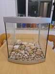 Aquario com frente curvada 45 litros aqua start 340