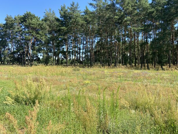 Dzialka z pozwoleniem na budowe i uzbrojeniem.Podmokle Małe 700 m2