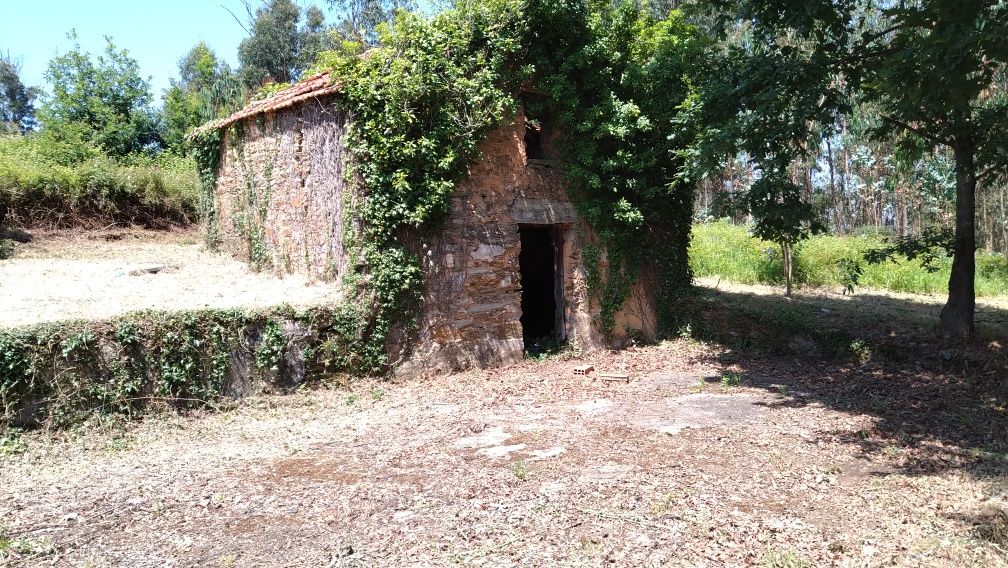 Terreno/quinta com pequena edificação