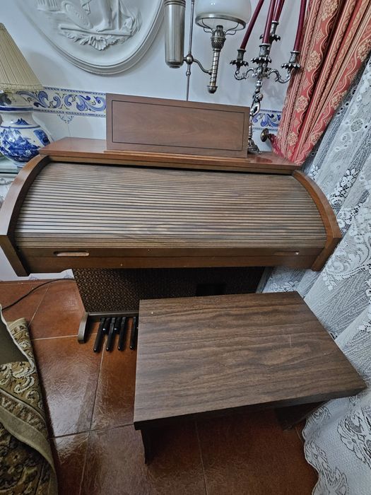 Órgão elétrico Lowery Magic Genie Chord