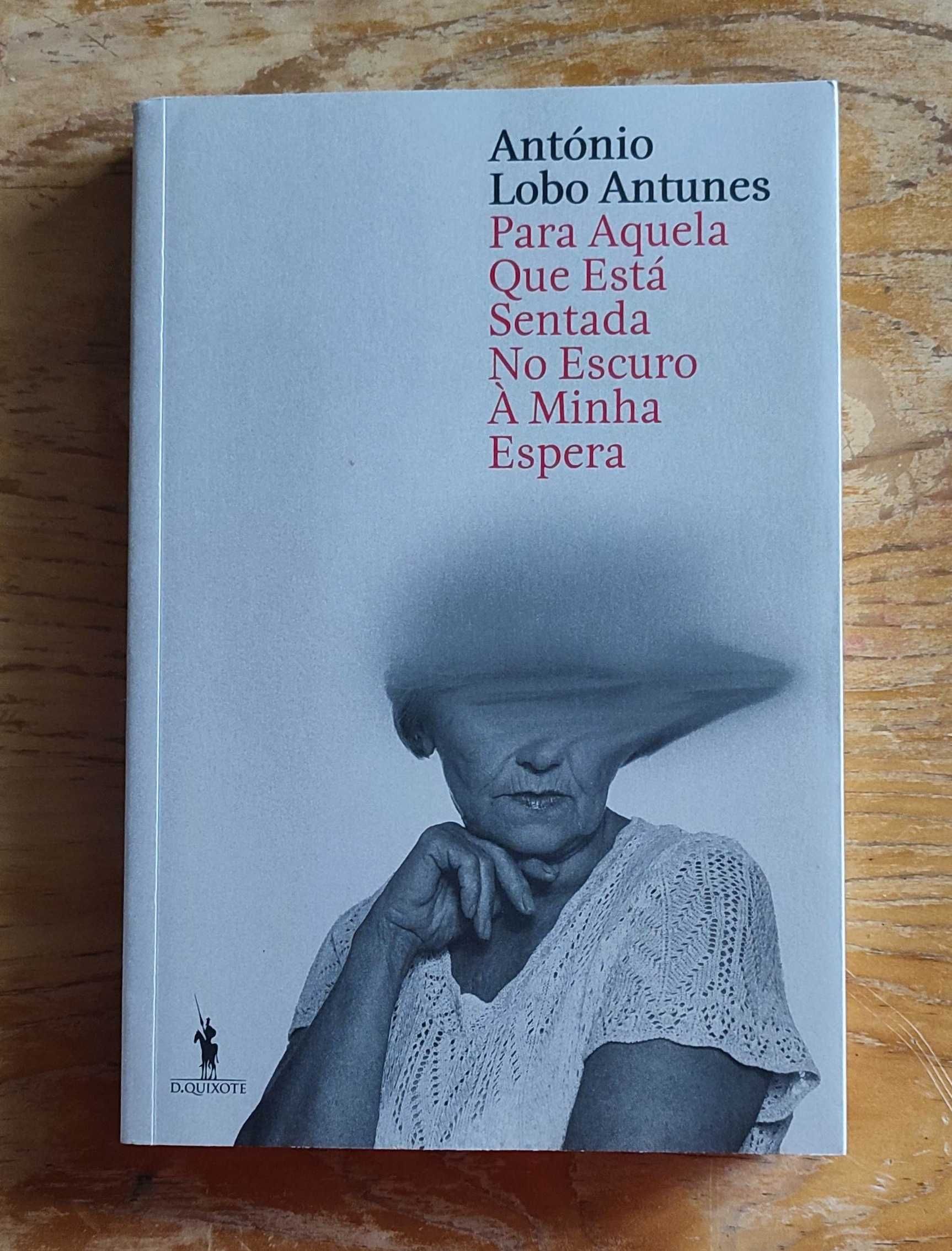 António Lobo Antunes - Para aquela que está sentada no escuro