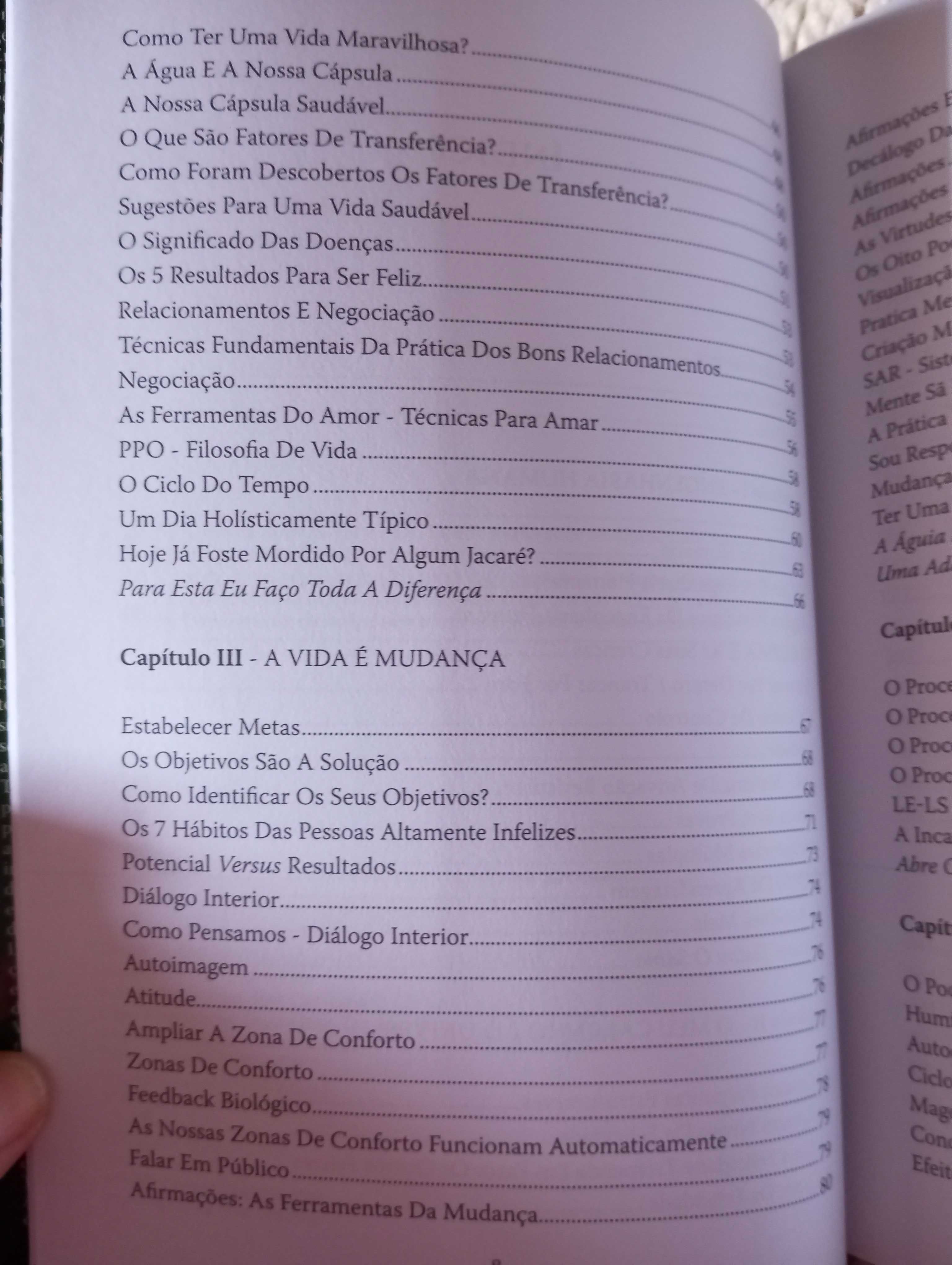 A engenheira humana é a solução, de António Guimarães