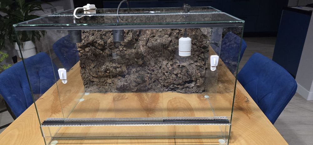 Terrarium dla agamy