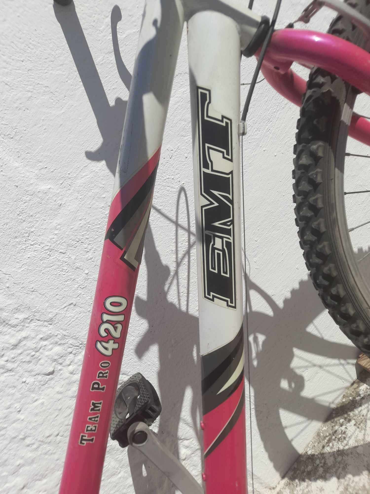 Bicicleta rapariga
