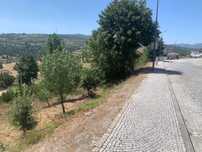 Terreno em celorico da beira
