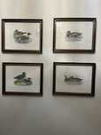Conjunto de 4 quadros - Patos