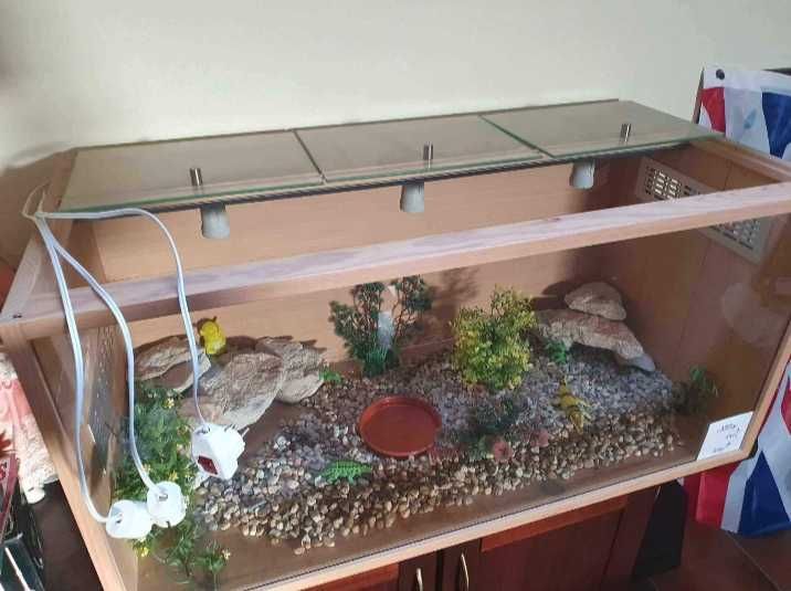 Terrário em Madeira Maciça