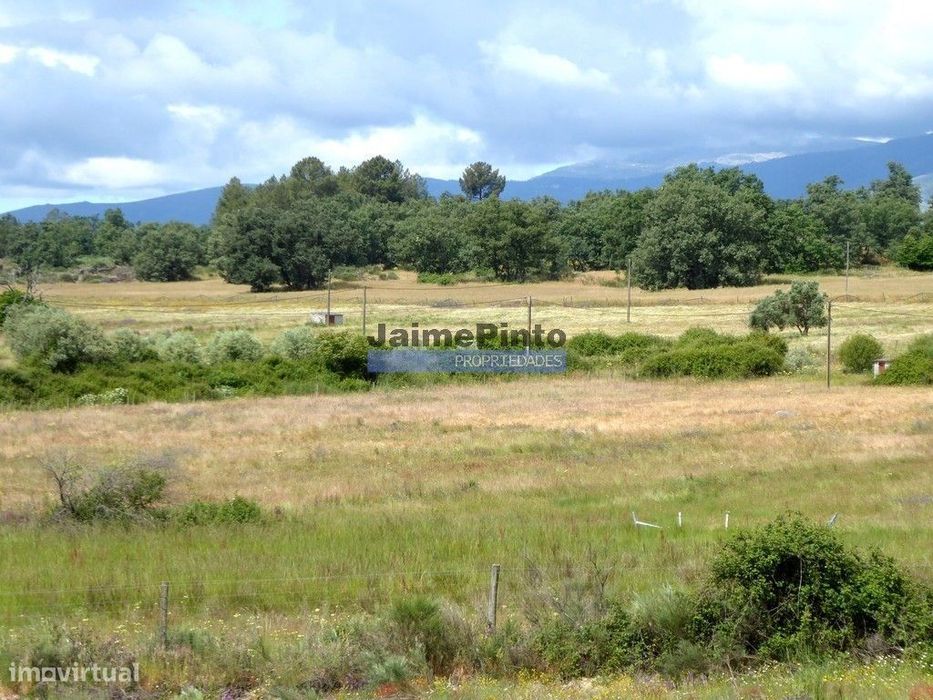 Propriedade 80,1ha de Cultivo Agrícola. Portugal, Belmonte, Castelo...