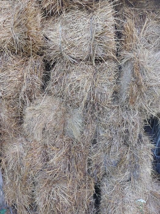 Продам тюки сіна-20кг.