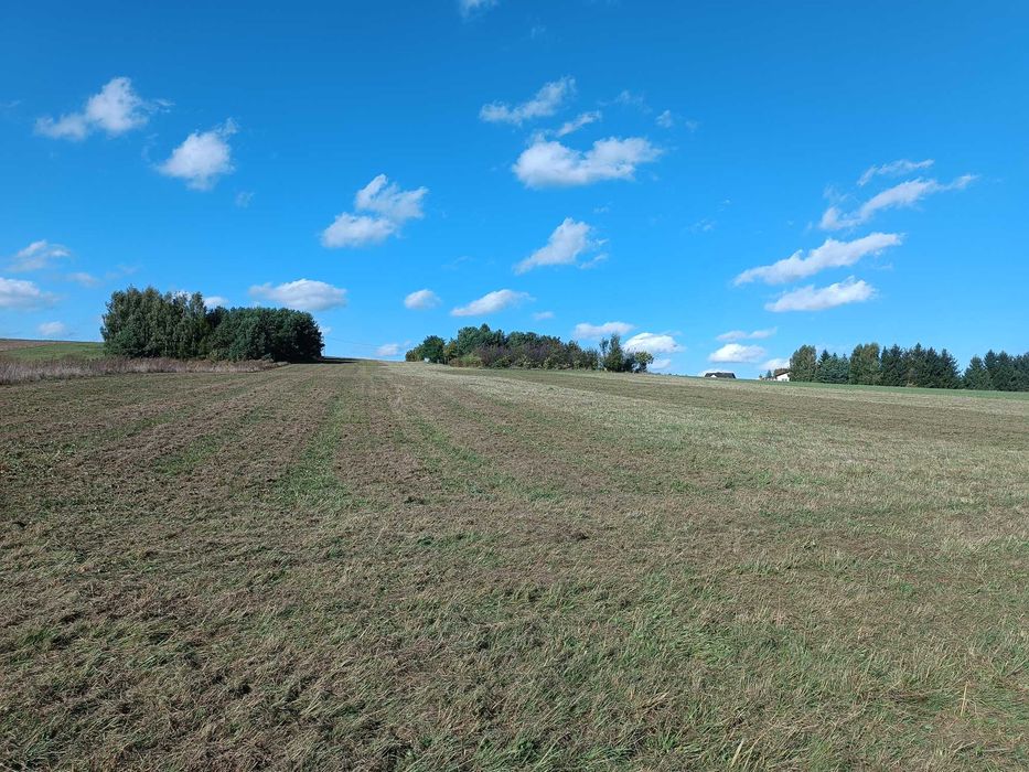 Mulczer Leśny Mulczowanie Wycinka Drzew Koszenie Trawy Ugorów Bijakowa