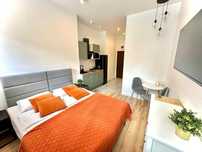 Apartament na doby / Kamienica Łódzka