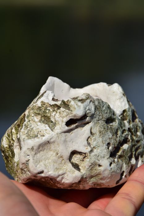 Прод Продам грецький свічка масажна
Збір цього року з 2 дерев 
І велик