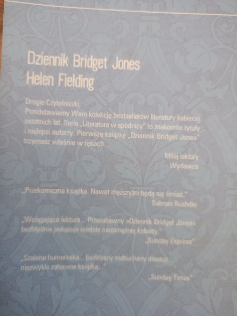 Dziennik Bridget Jones, W pogoni za rozumem