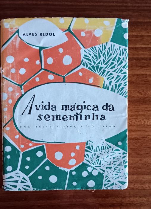 Alves Redol. Rogério Ribeiro. Modernista.