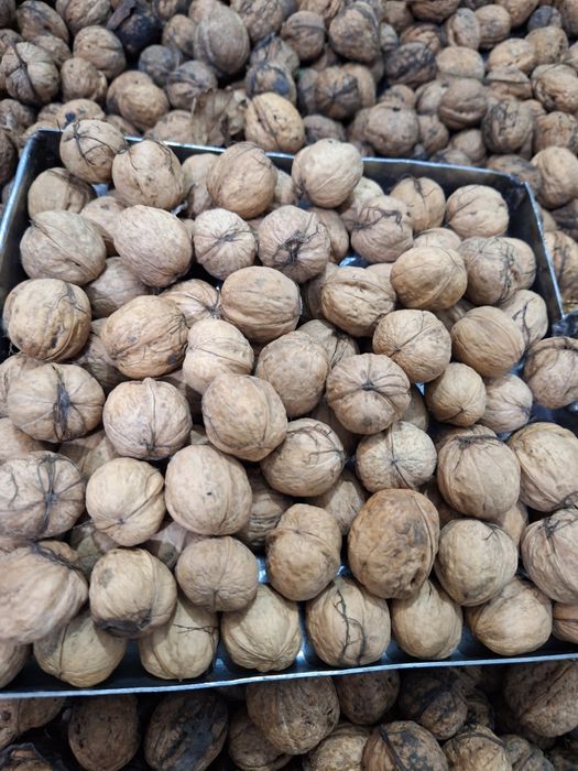 Грецький горіх врожай 2025 р