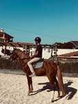 Cavalos inteiro manso