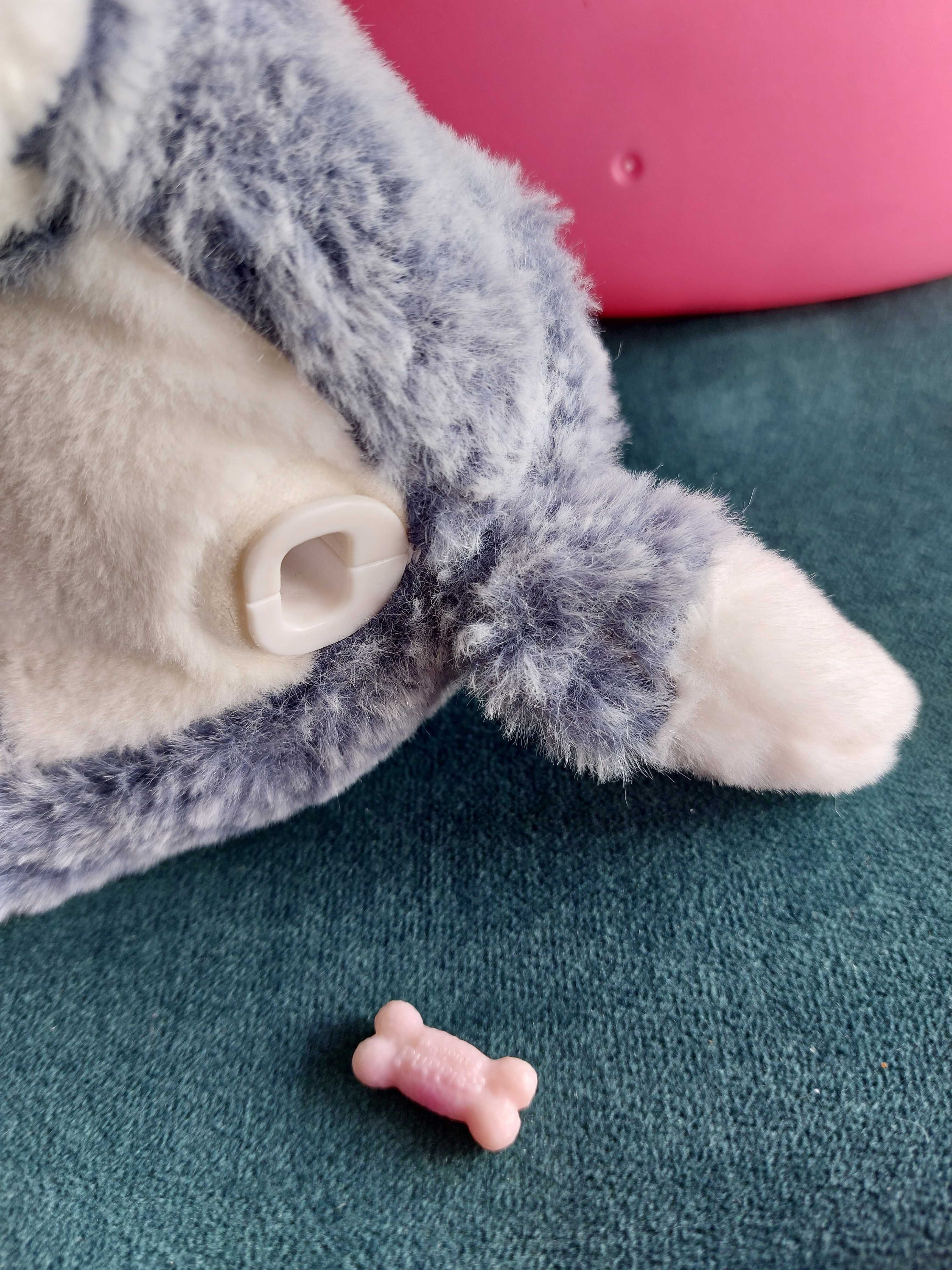 Popping Puppies piesek interaktywny