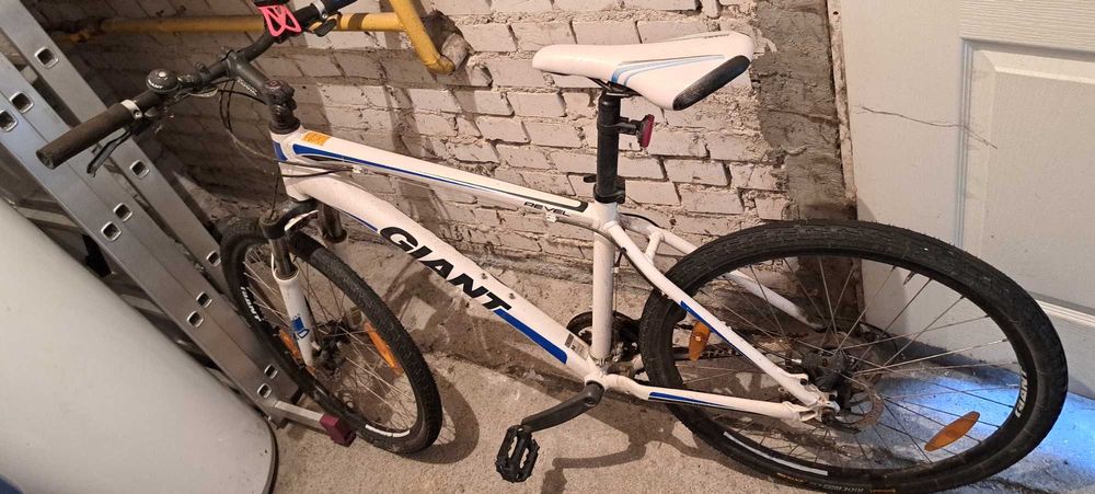 Rower górski Kołobrzeg.