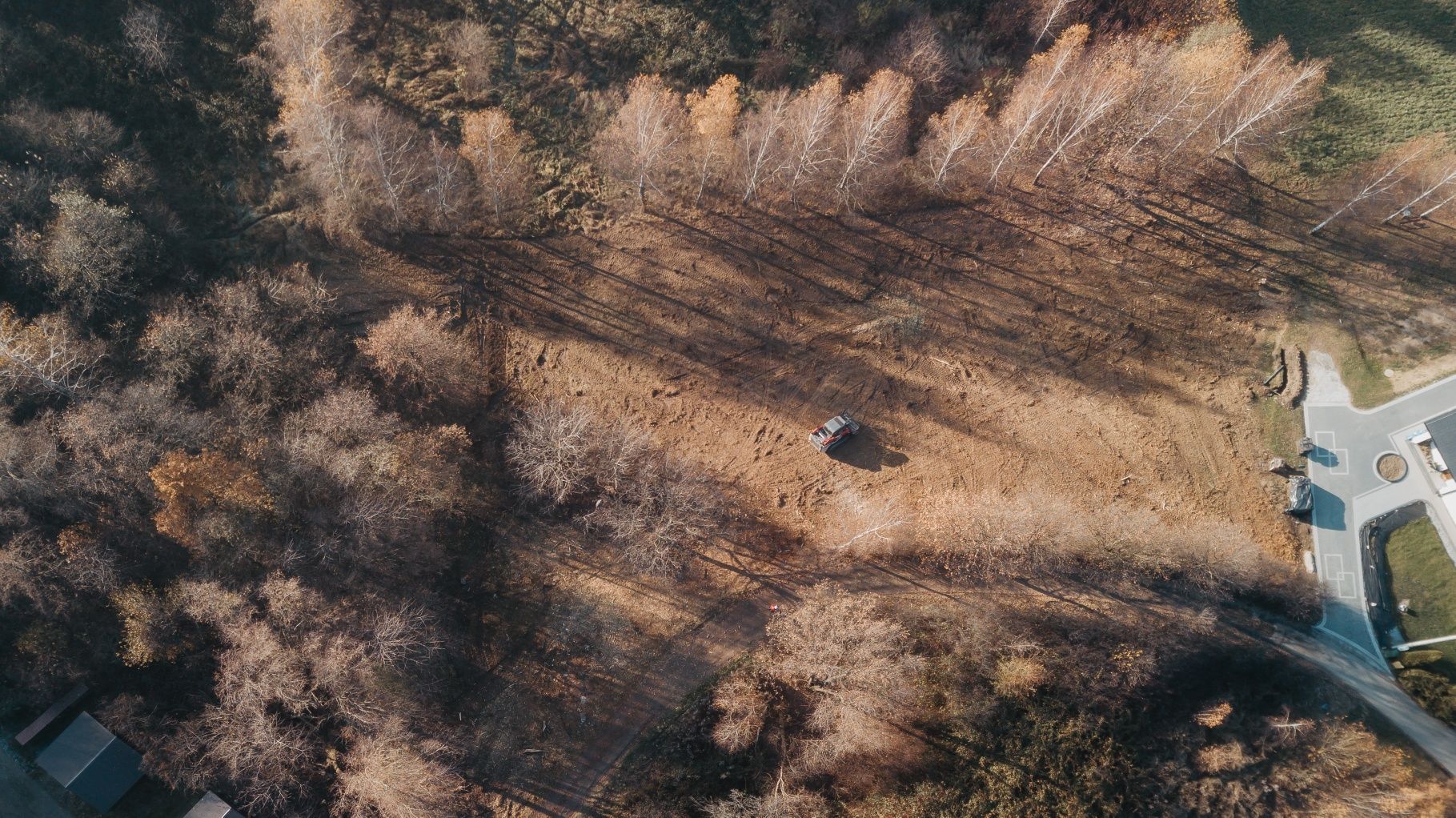 Karczowanie zarośli wycinka samosiejek oczyszczanie terenu mulczer