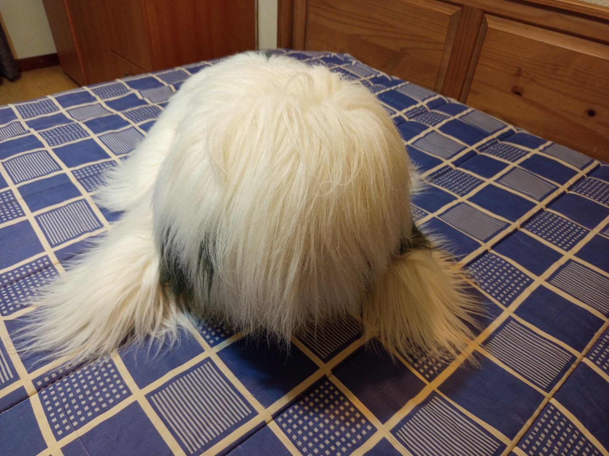 Peluche cão grande
