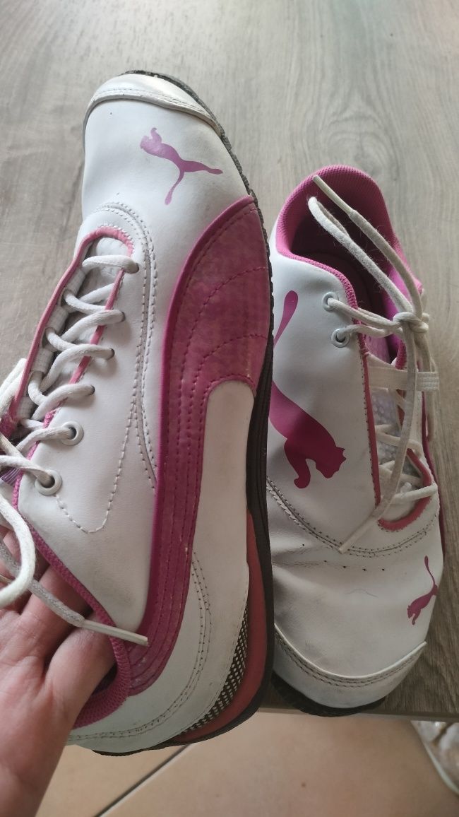 Buty sportowe puma