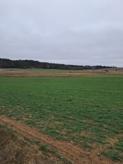 Sprzedam działkę budowlaną.